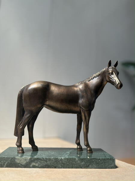 Бежуде (бельгийская лошадь)