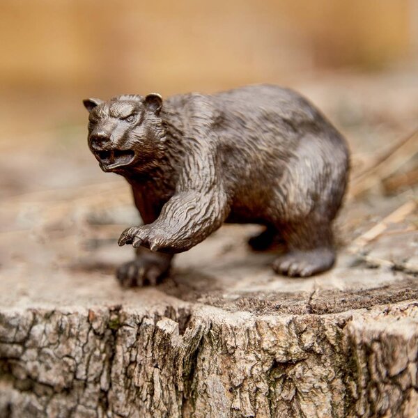 Медведь малый