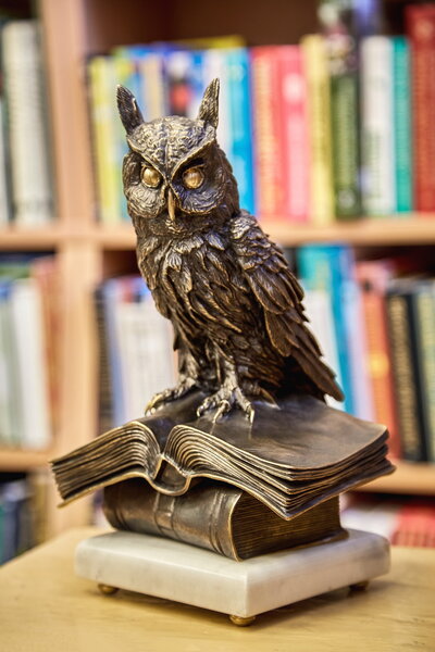 Филин на книге