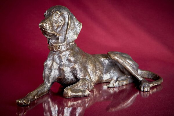 Собака Либериха