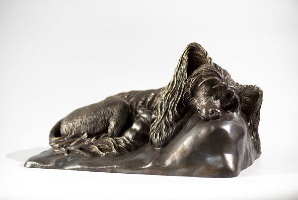 Китайская хохлатая собака